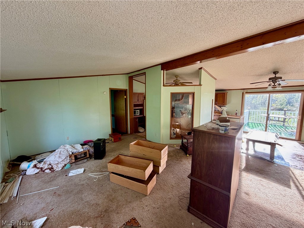9200 Horn Road Property Photo 29