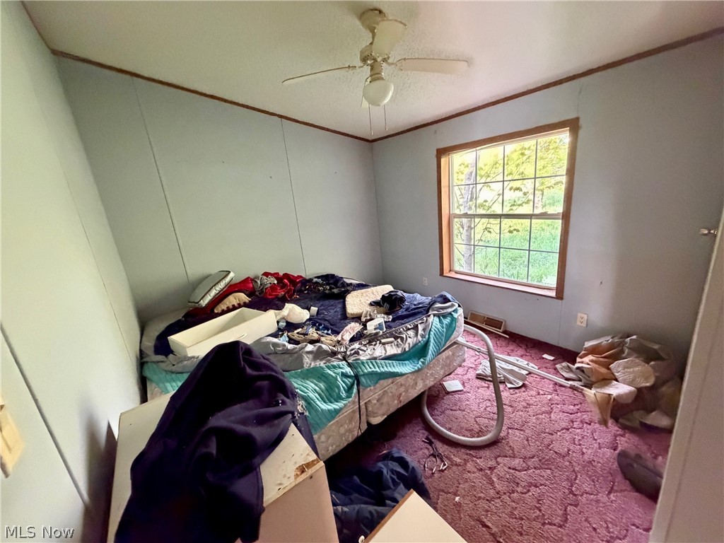 9200 Horn Road Property Photo 35