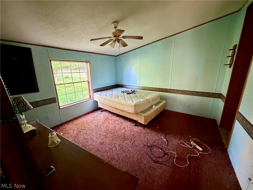 9200 Horn Road Property Photo 36