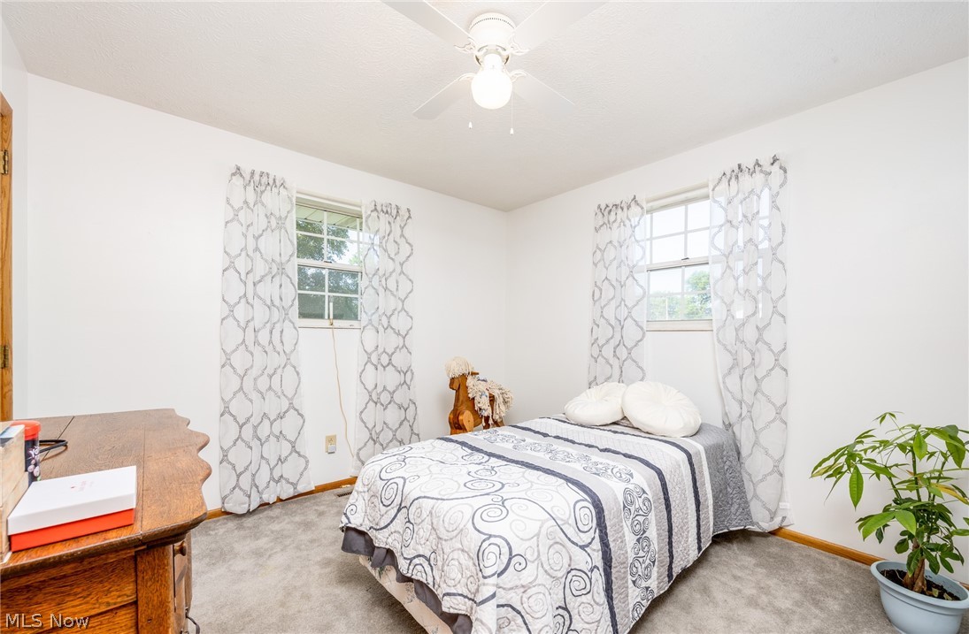 44 Teri Lane Property Photo 20