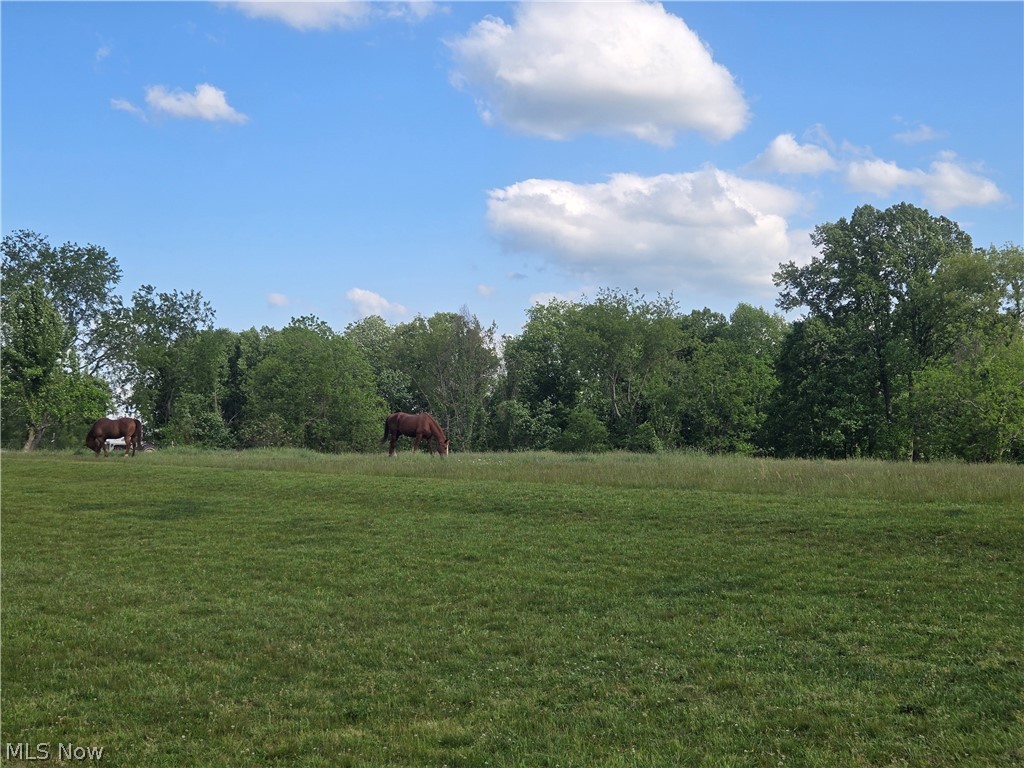 2329 Swart Road Property Photo 21