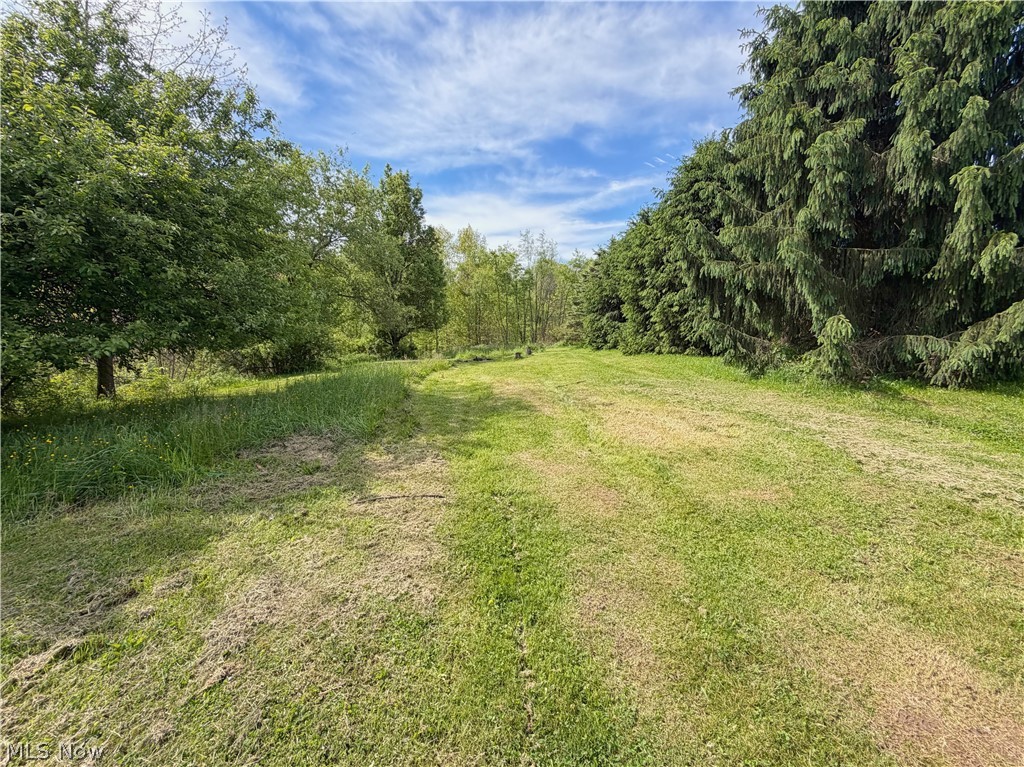 44073 Bell Road Property Photo 11
