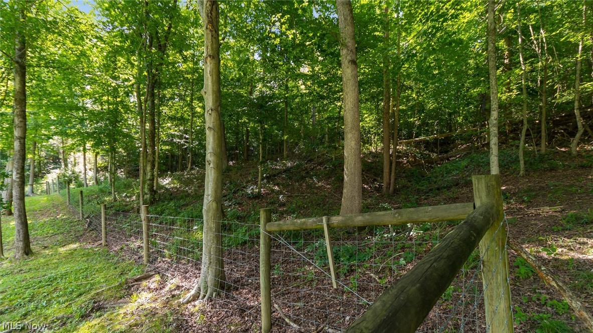 385 Irish Ridge Road Property Photo 40