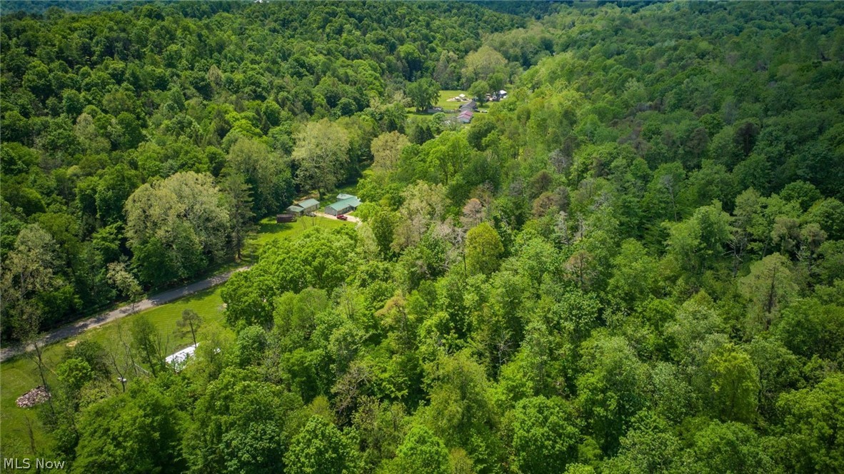 385 Irish Ridge Road Property Photo 49