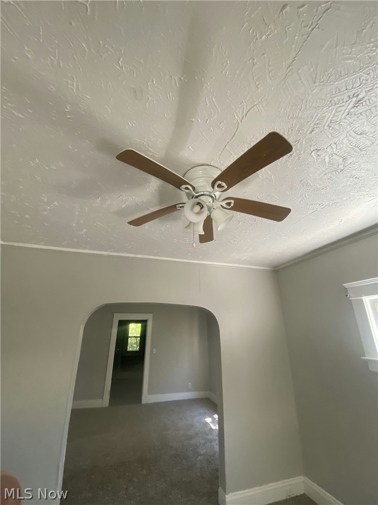 677 E 92nd Street Property Photo 15