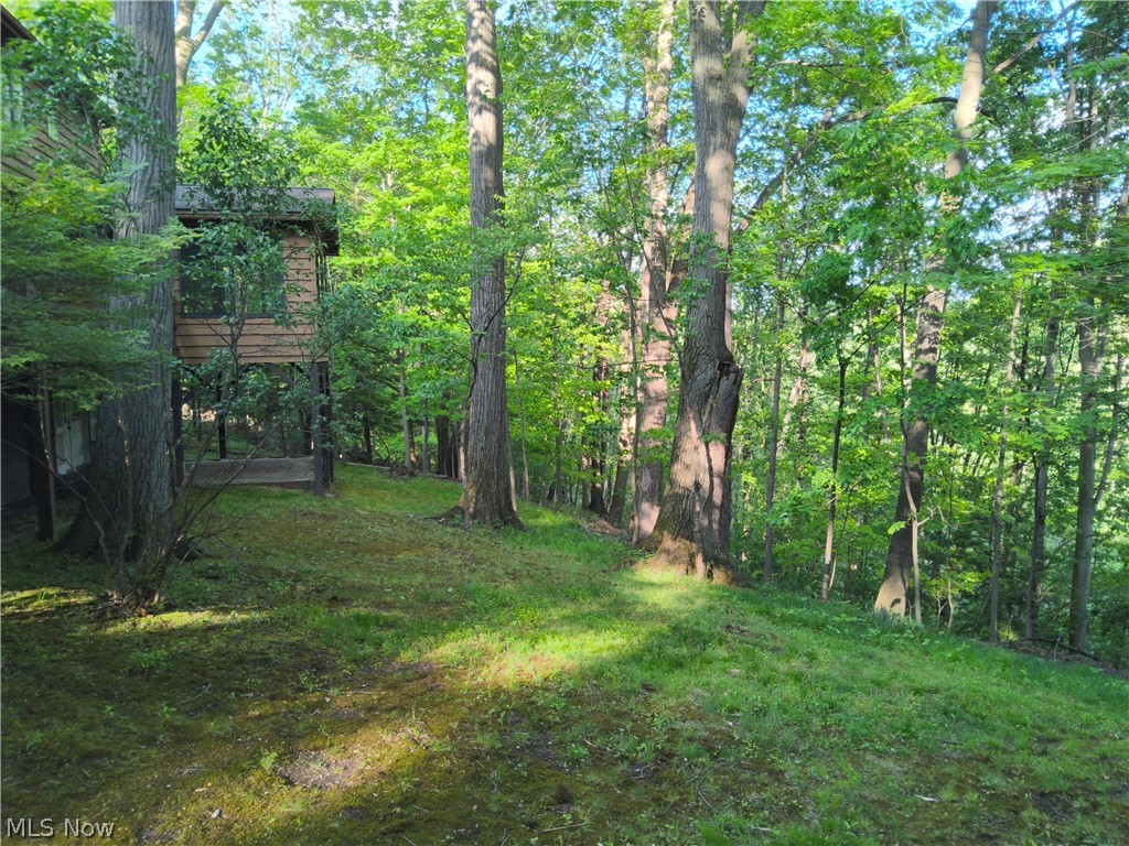 35970 Timber Ridge Lane Property Photo 9