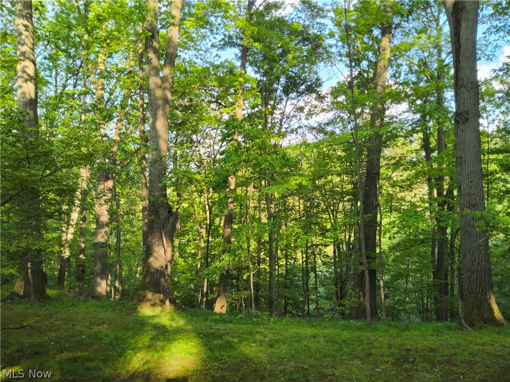 35970 Timber Ridge Lane Property Photo 10