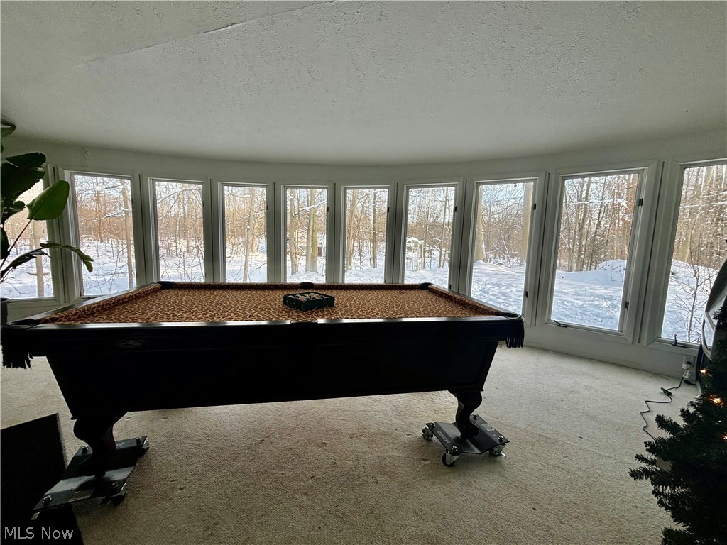 10765 Bell Road Property Photo 12