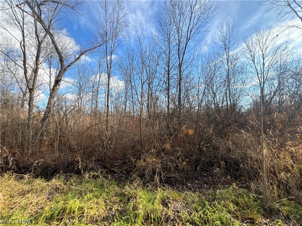 10765 Bell Road Property Photo 24