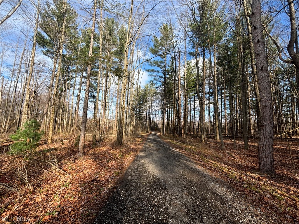 10765 Bell Road Property Photo 26