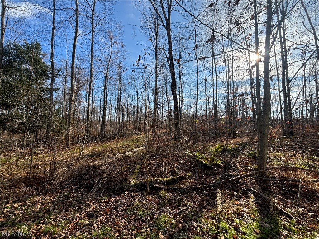 10765 Bell Road Property Photo 27