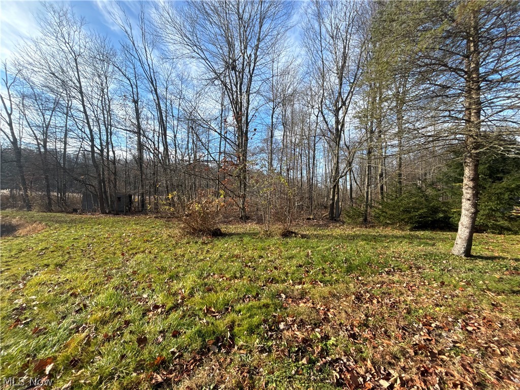 10765 Bell Road Property Photo 28