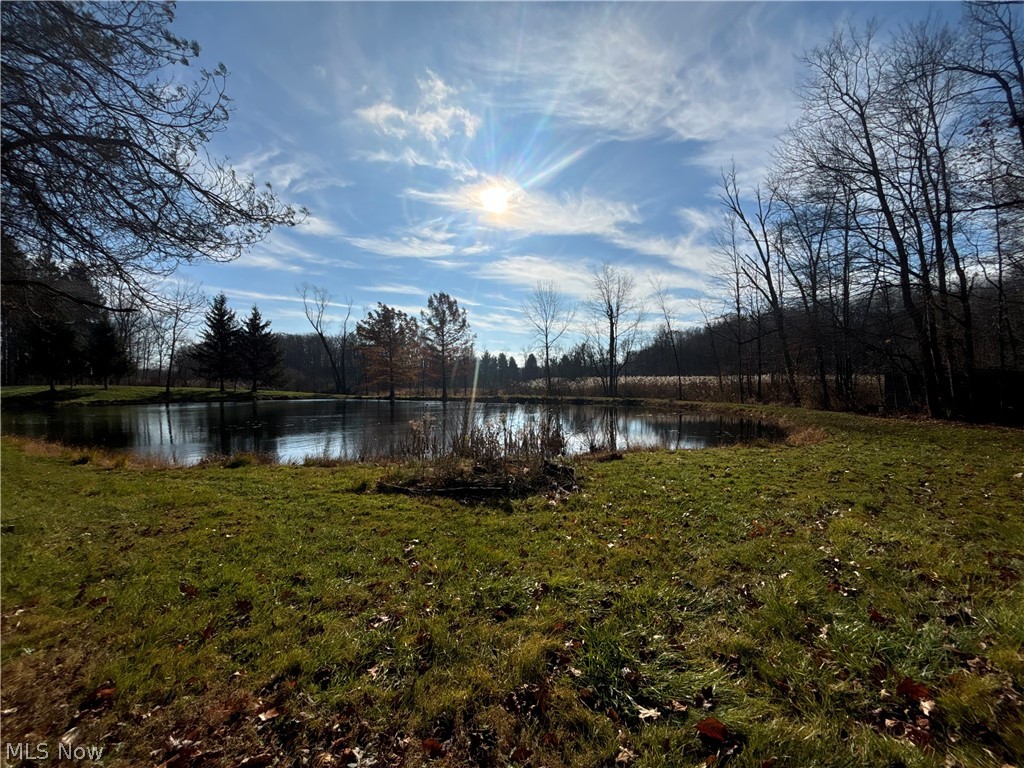 10765 Bell Road Property Photo 29