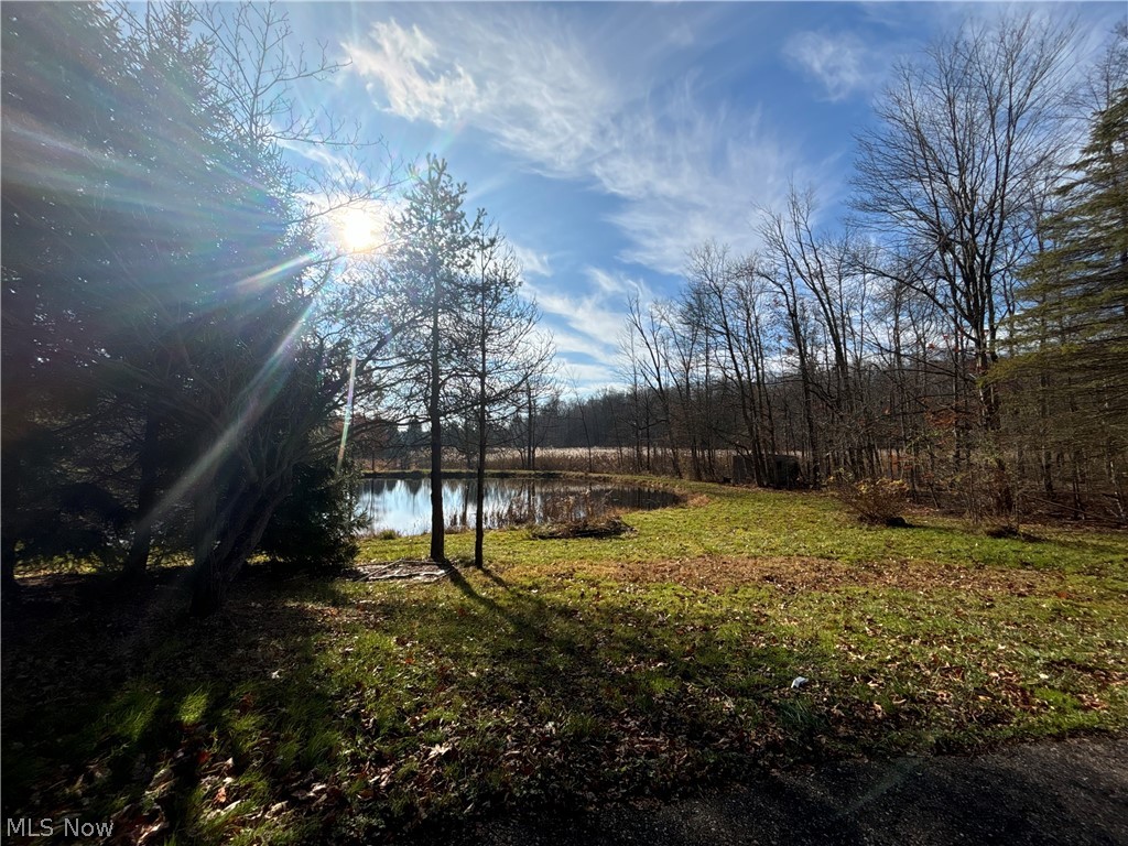 10765 Bell Road Property Photo 33