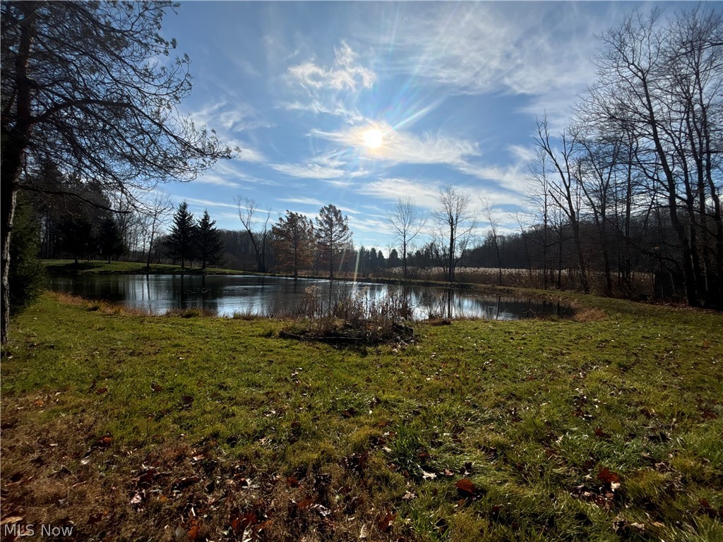 10765 Bell Road Property Photo 34