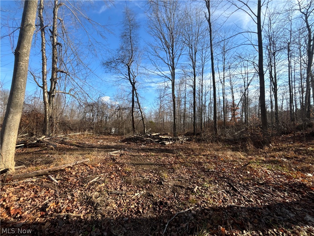 10765 Bell Road Property Photo 35