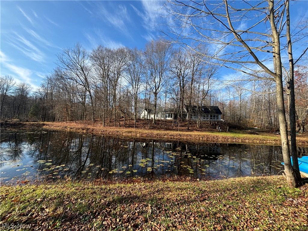 10765 Bell Road Property Photo 37