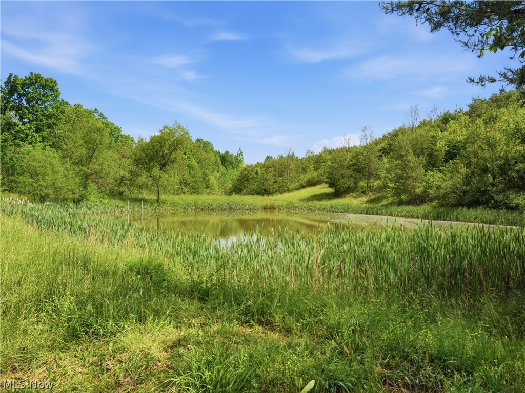870 Rubrake Road Property Photo 42