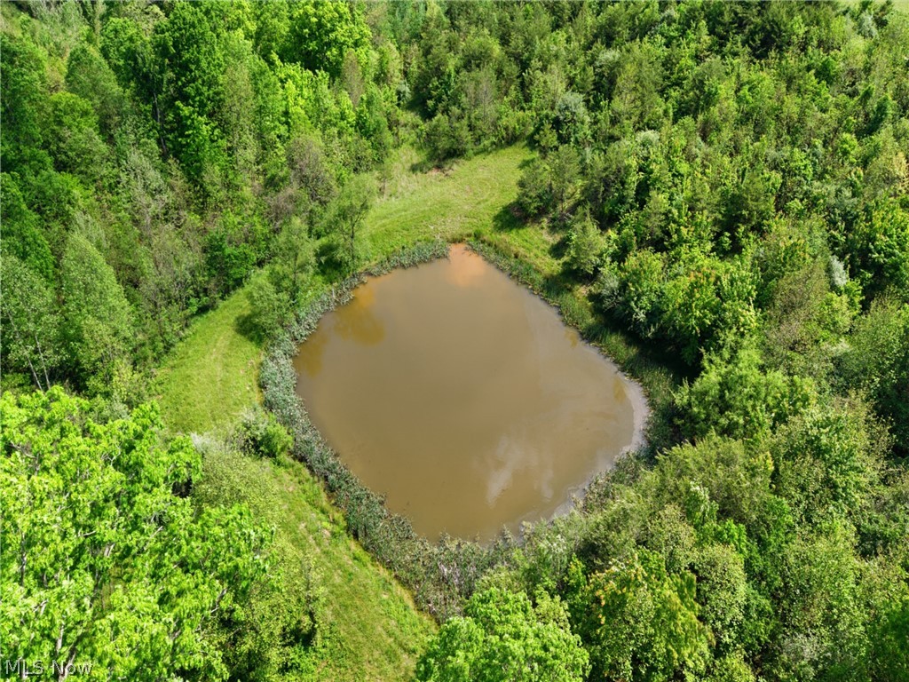 870 Rubrake Road Property Photo 43
