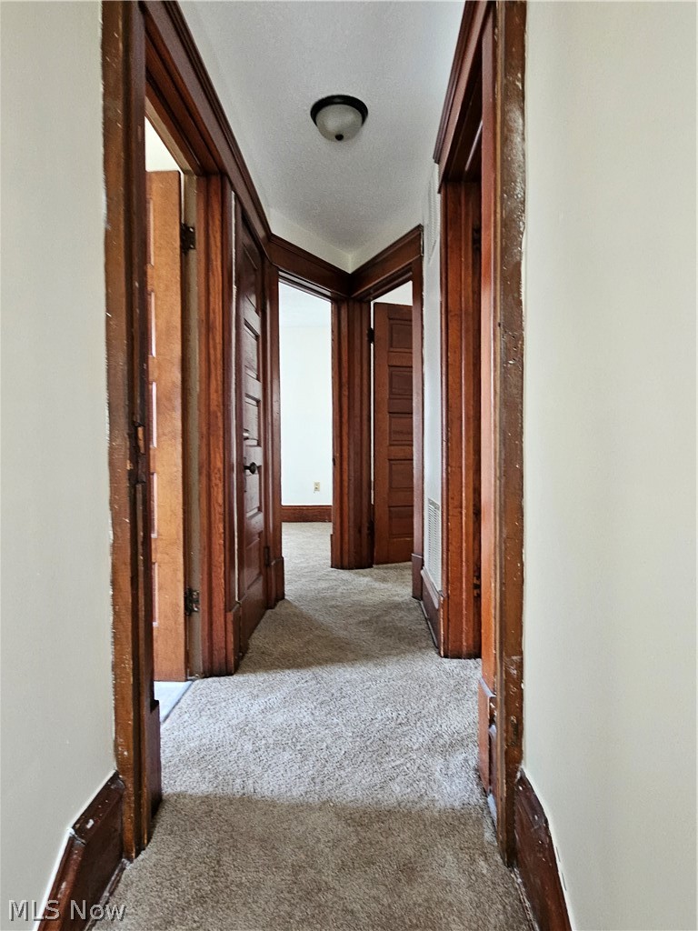 46 & 48 Hyde Avenue Property Photo 11