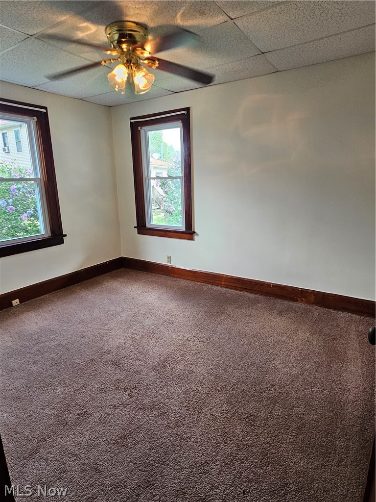 46 & 48 Hyde Avenue Property Photo 26