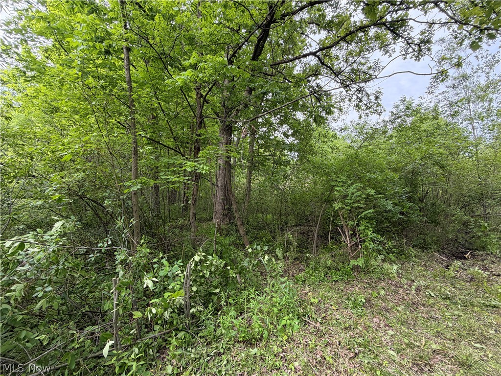 0 Dayton Road Property Photo 4