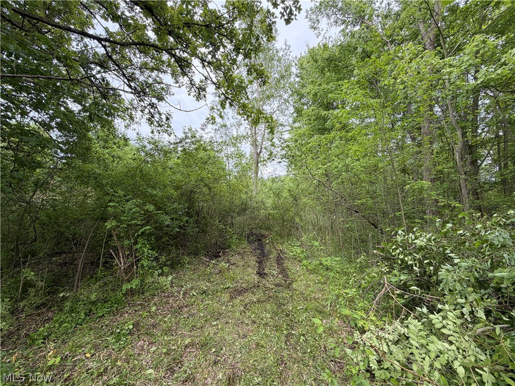 0 Dayton Road Property Photo 5