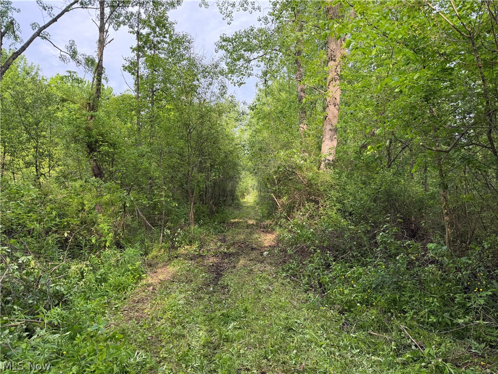 0 Dayton Road Property Photo 6