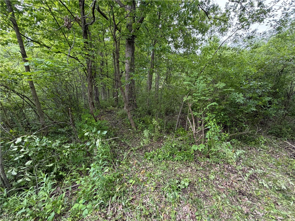 0 Dayton Road Property Photo 7