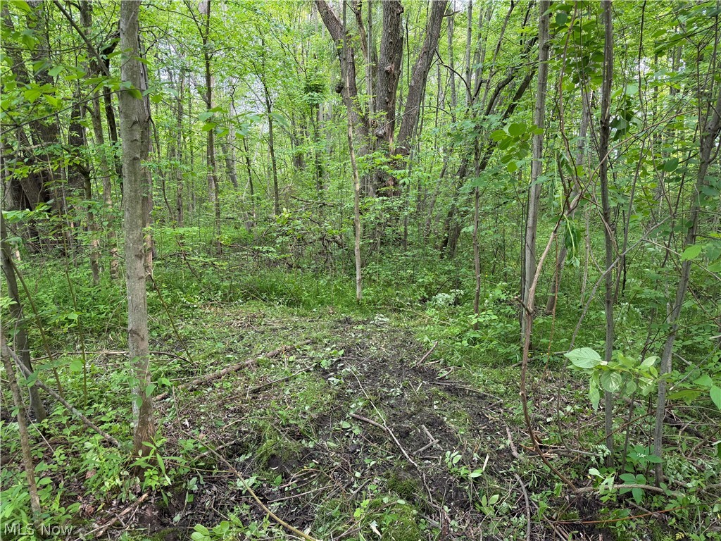 0 Dayton Road Property Photo 8