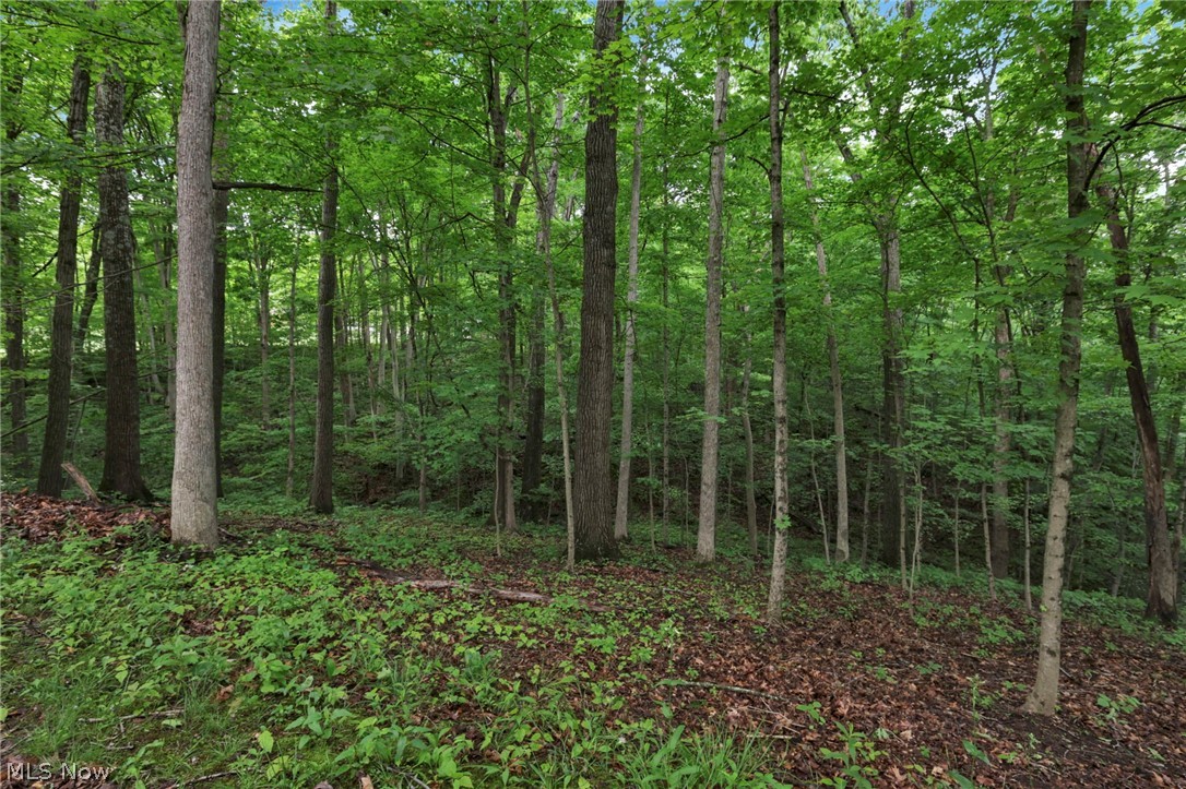 60467 Apache Lane Property Photo 42