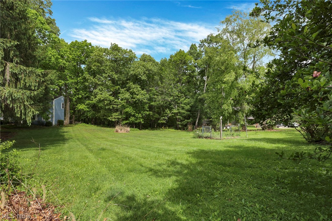 60467 Apache Lane Property Photo 43