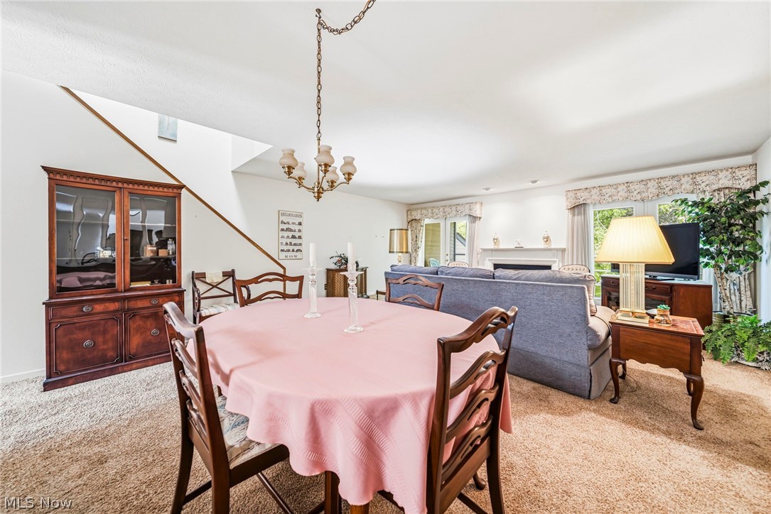 155 Pheasant Run Property Photo 11