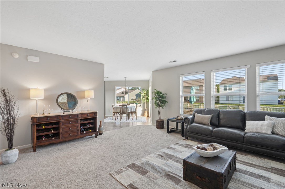 7557 Witch Hazel Drive Property Photo 11