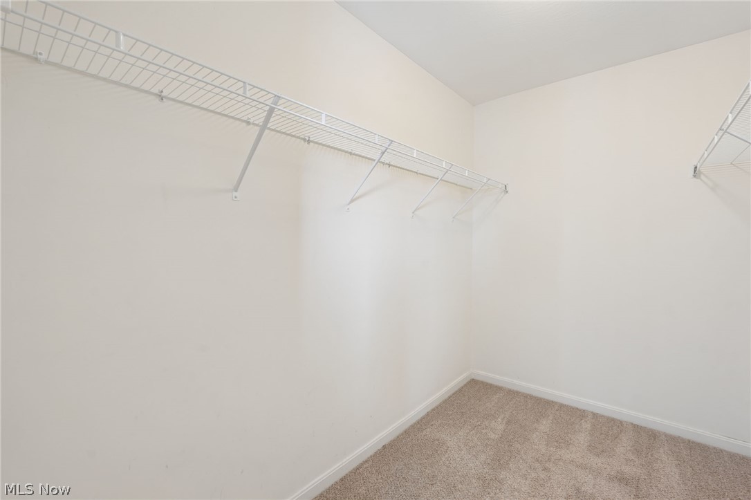 7557 Witch Hazel Drive Property Photo 31