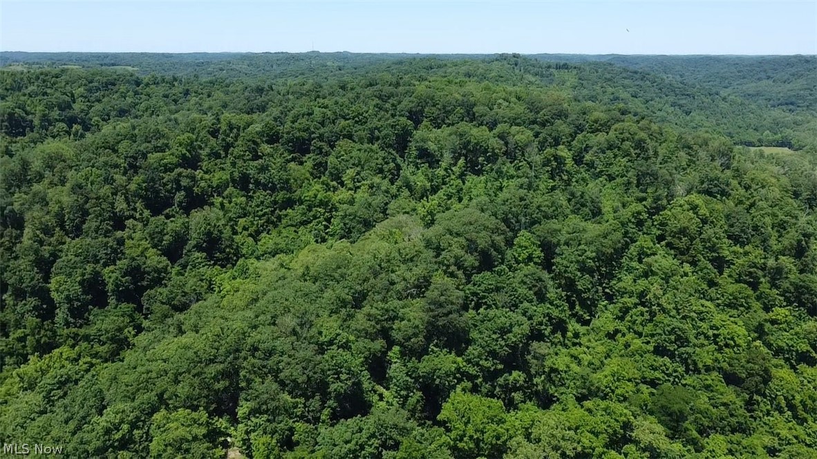 37473 State Route 7 Property Photo 11