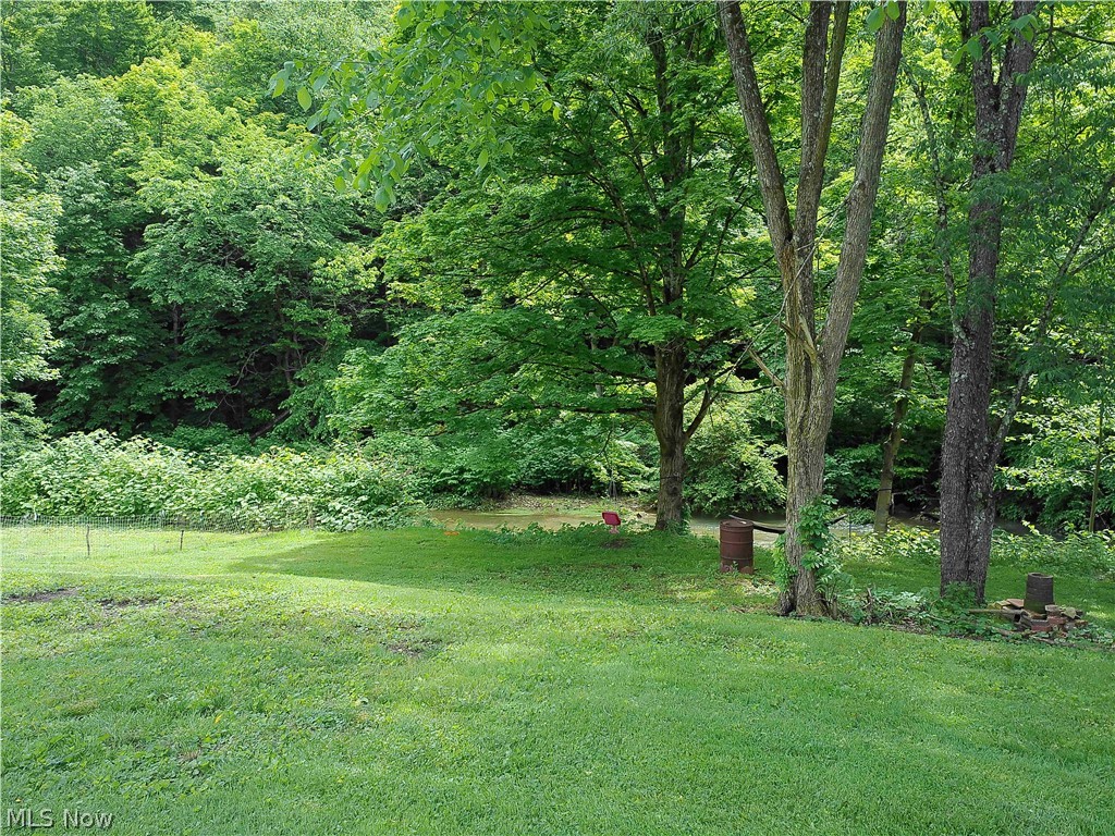 1960 County Road 56 Property Photo 21