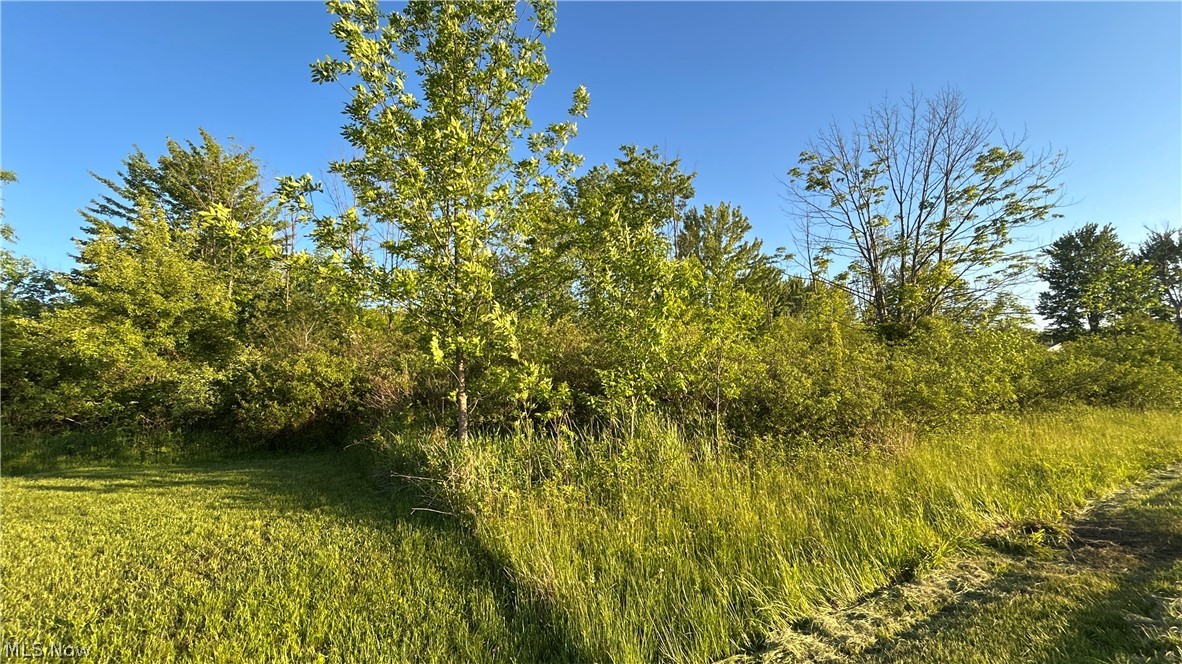Weimer Drive Property Photo 3