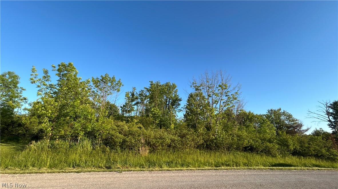 Weimer Drive Property Photo 4