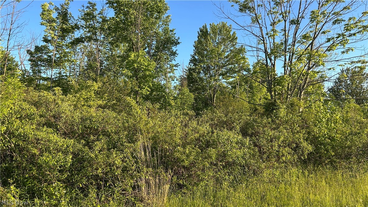 Weimer Drive Property Photo 7