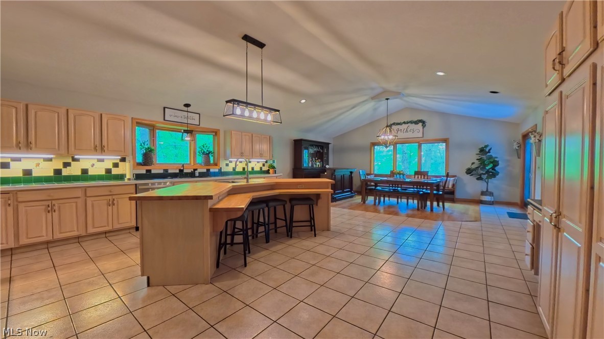1751 Squaw Creek Drive Property Photo 11