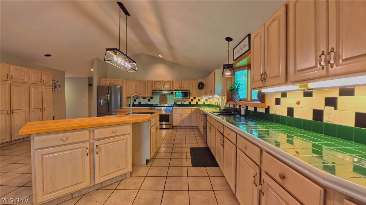 1751 Squaw Creek Drive Property Photo 14