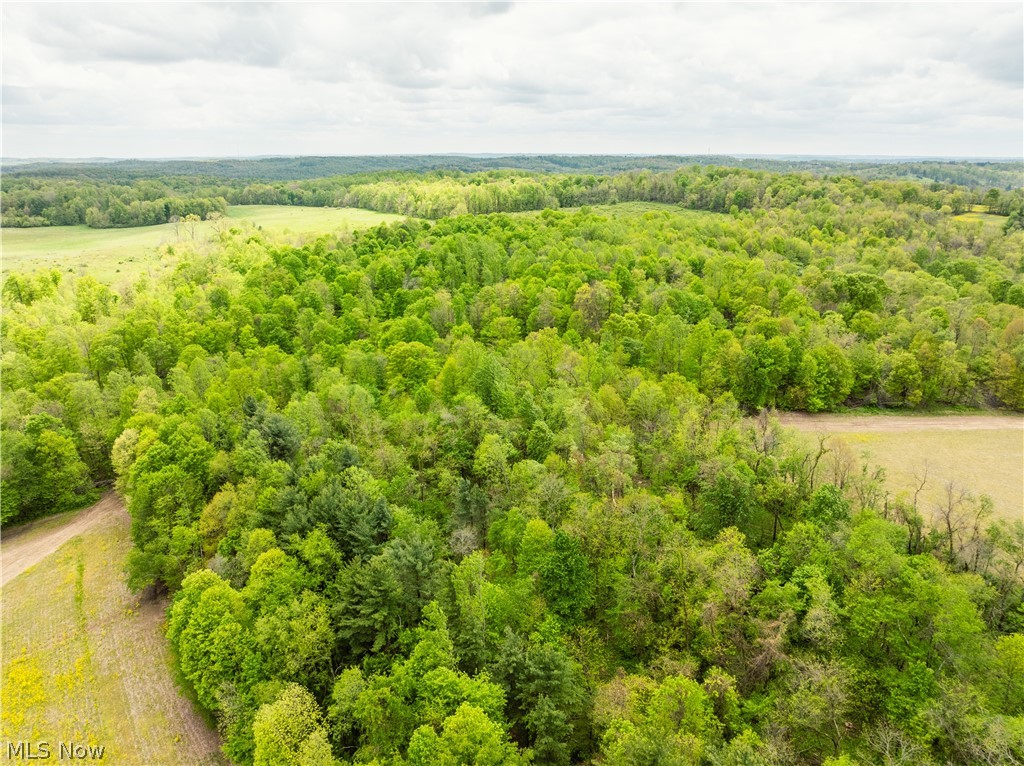 Garver Road Property Photo 20