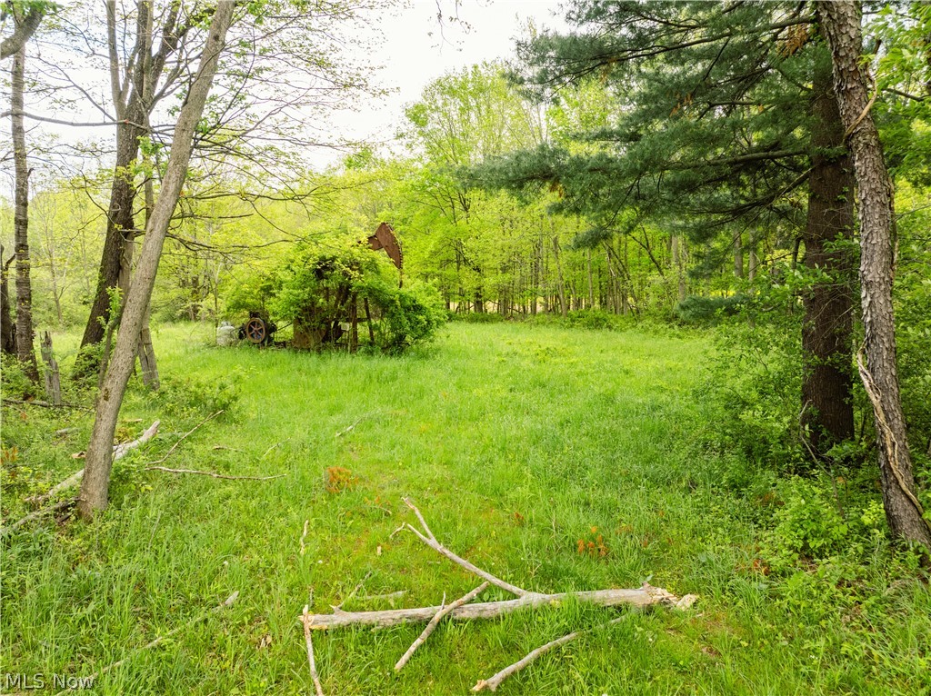 Garver Road Property Photo 23