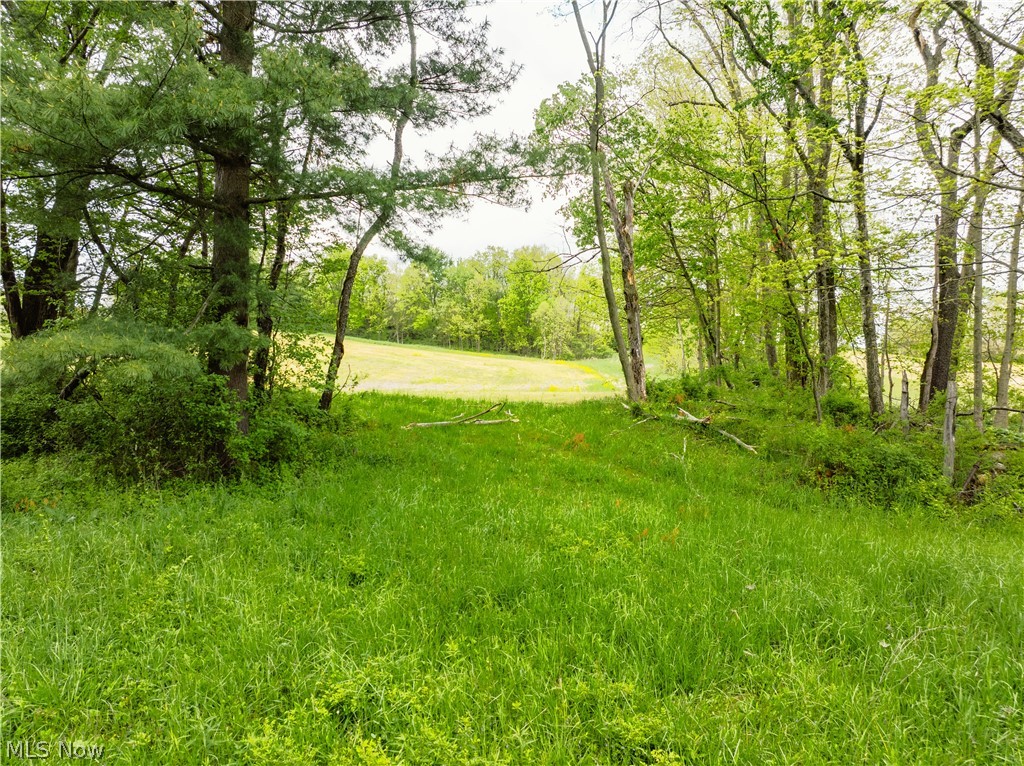 Garver Road Property Photo 25