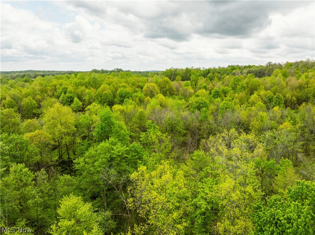 Garver Road Property Photo 30