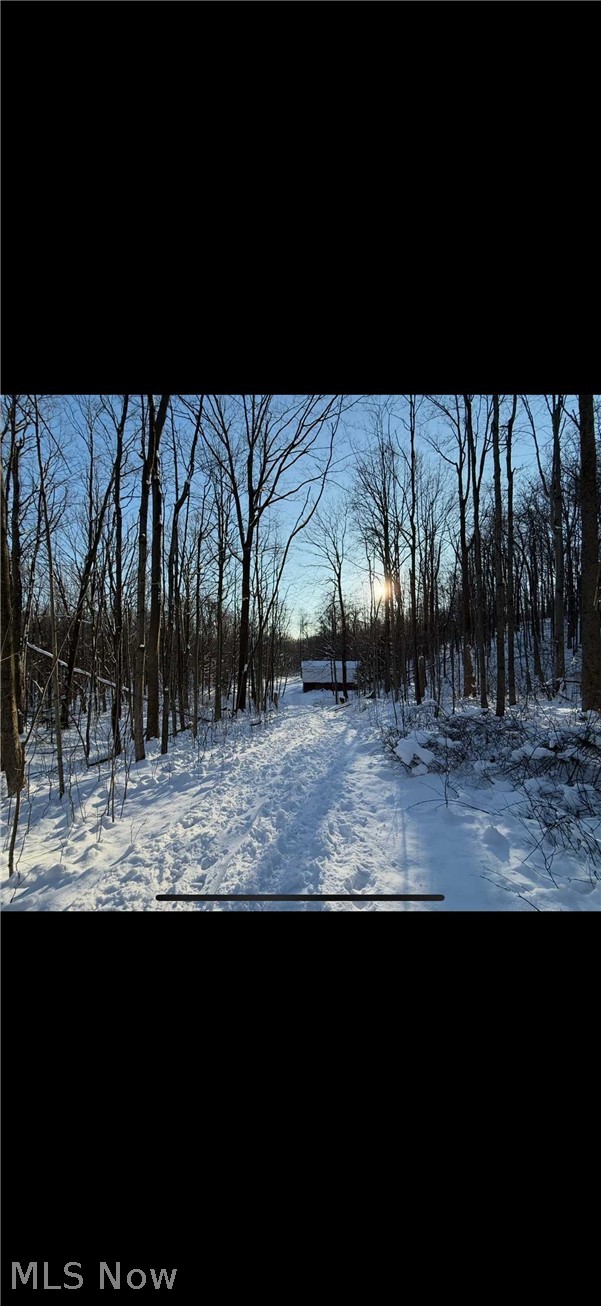 0 Winterberry Lane