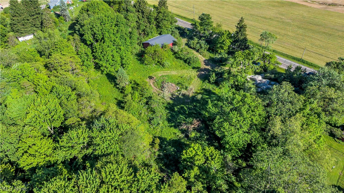 4957 State Route 82 Property Photo 11