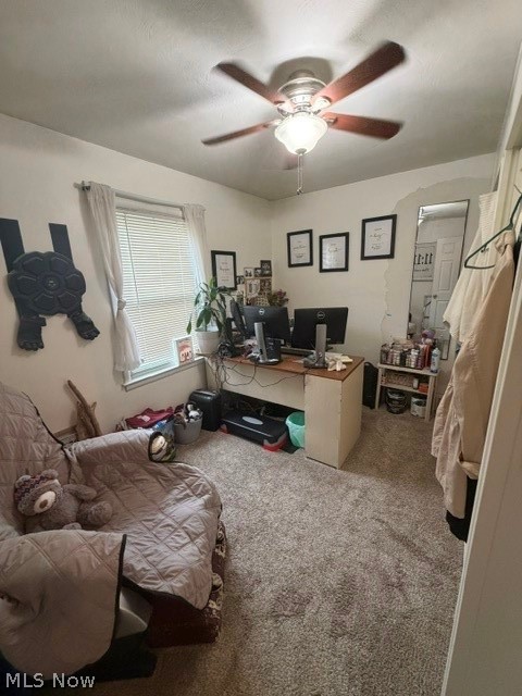 139 Dehoff Drive Property Photo 21