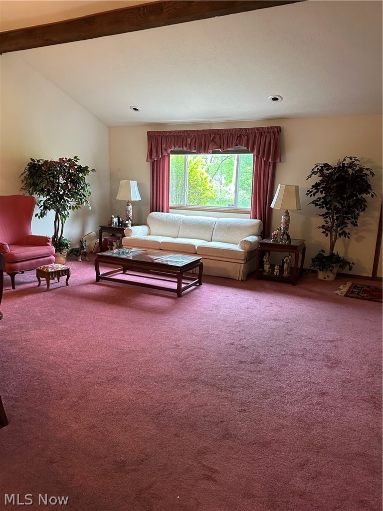 25235 Suwanee Avenue Property Photo 14